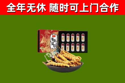 吕梁回收冬虫夏草价格